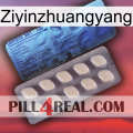 Ziyinzhuangyang 34